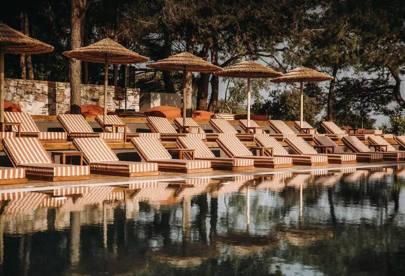 Cook S Club Ialysos Rhodes