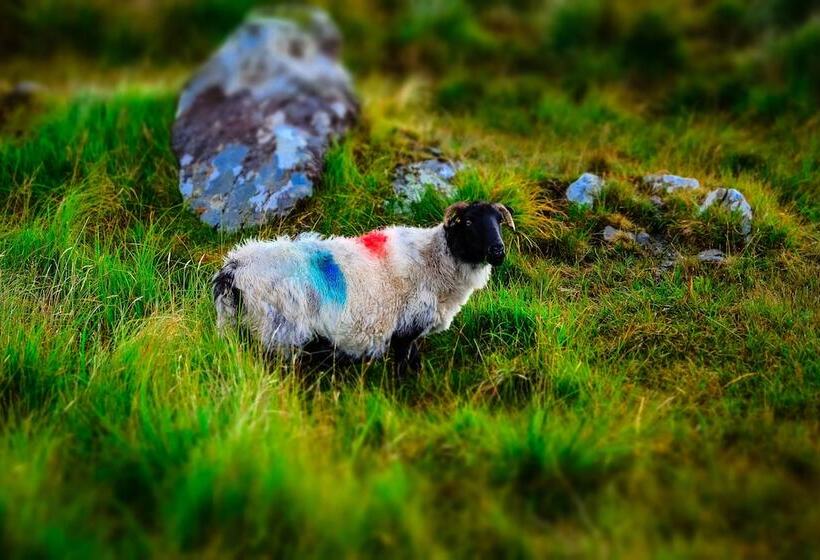 Connemara Sands Beach Hotel & Spa