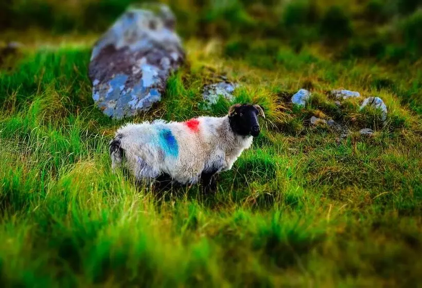 Connemara Sands Beach Hotel & Spa