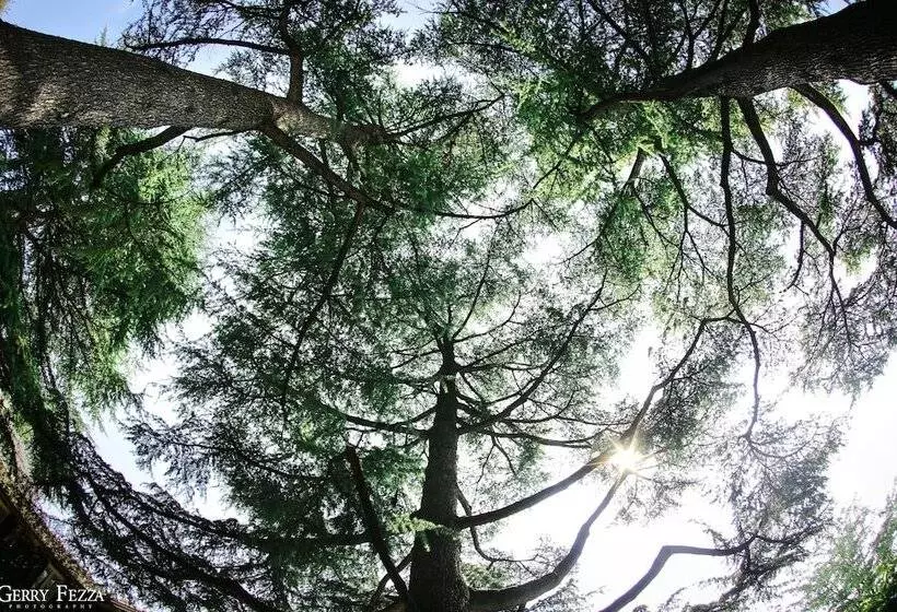 فندق Residenza Borgo 27