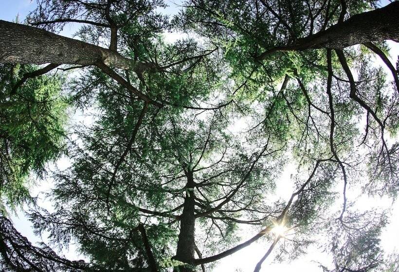 בית מלון כפרי Residenza Borgo 27