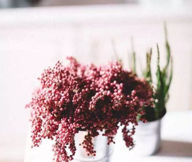 Отель Tenuta Marchesi Fezia