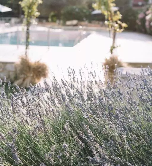 Отель Tenuta Marchesi Fezia