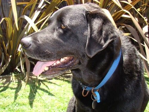 膳宿费 Busselton Guest House