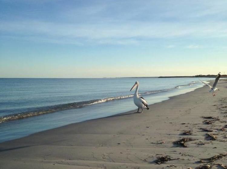 膳宿费 Busselton Guest House