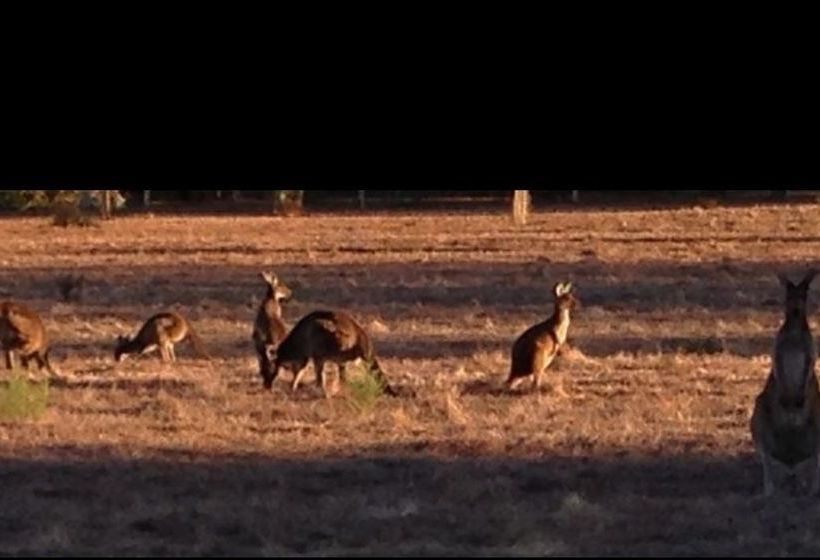 膳宿费 Busselton Guest House