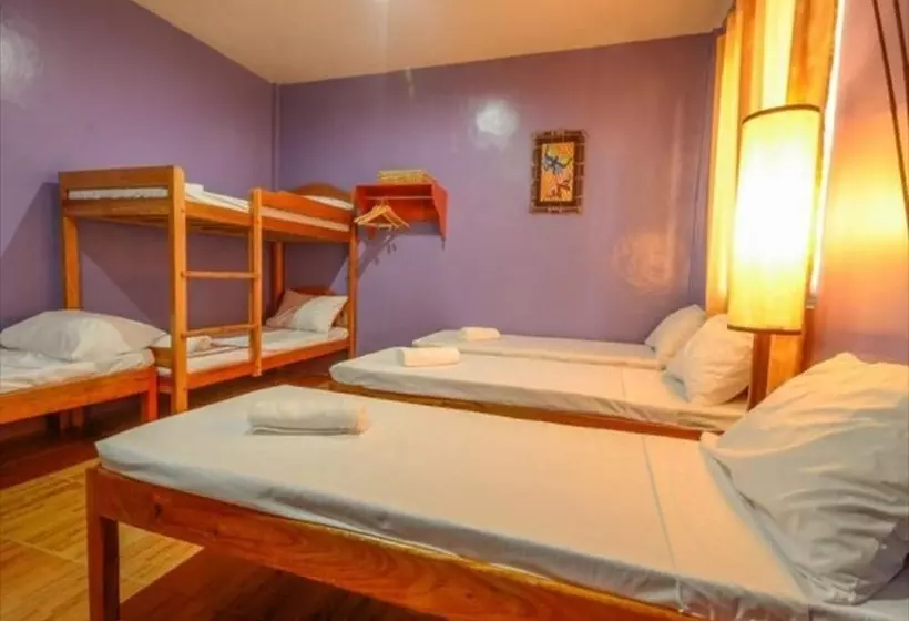 Pension (Hôtel basse catégorie) Butterfly Totem Guesthouse