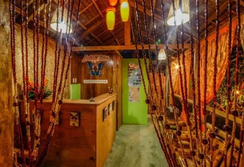 Pension (Hôtel basse catégorie) Butterfly Totem Guesthouse