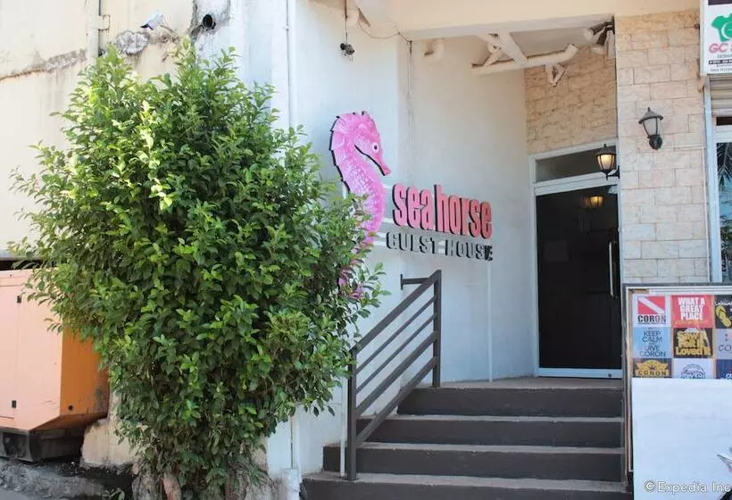 펜션 Sea Horse Guest House