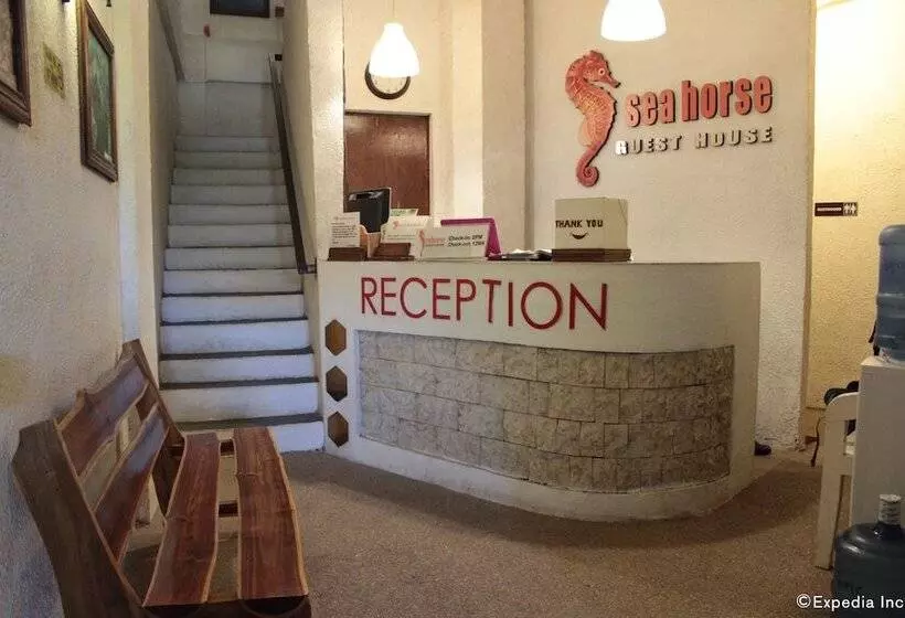 펜션 Sea Horse Guest House