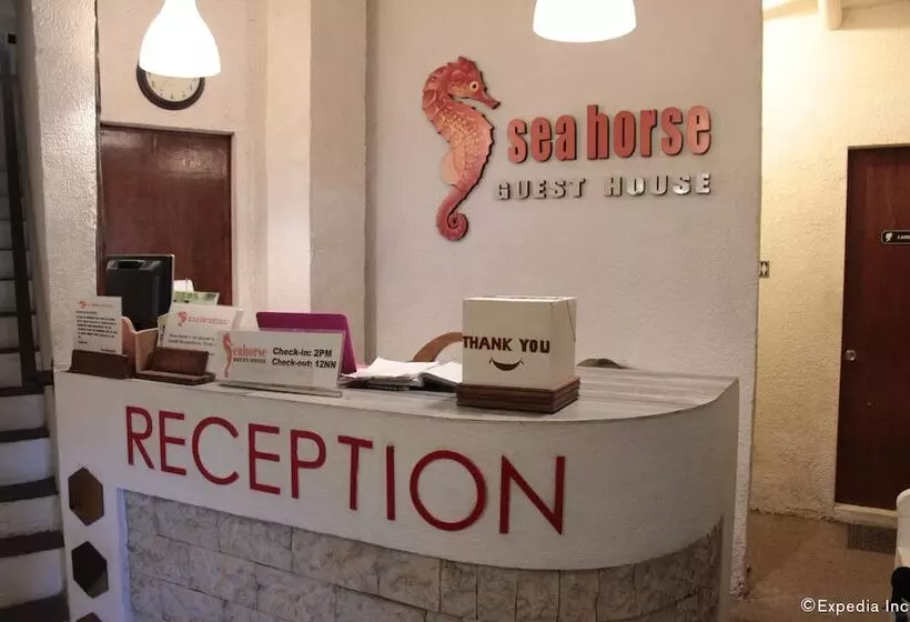 펜션 Sea Horse Guest House