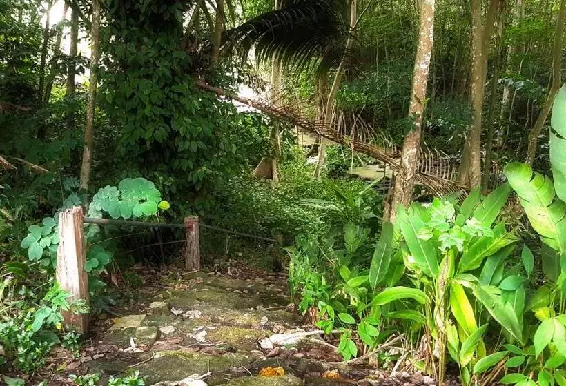 Brookside Valley Resort