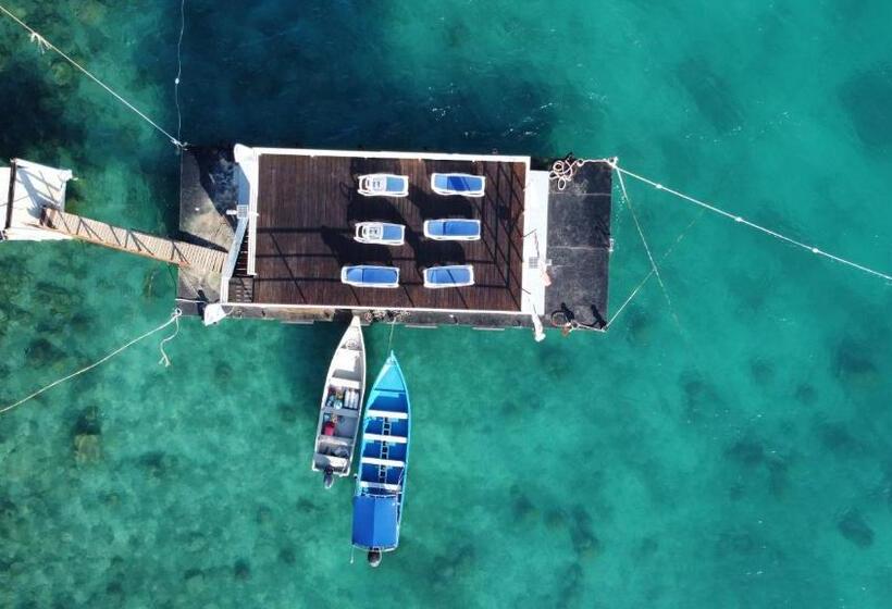 Отель Alunan Resort All Inclusive