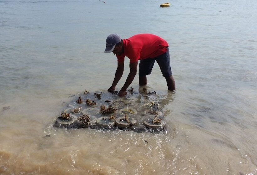 Отель Alunan Resort All Inclusive