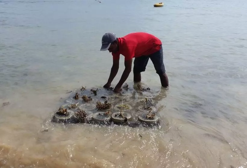 هتل Alunan Resort All Inclusive