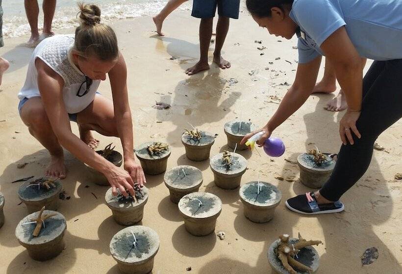 Отель Alunan Resort All Inclusive