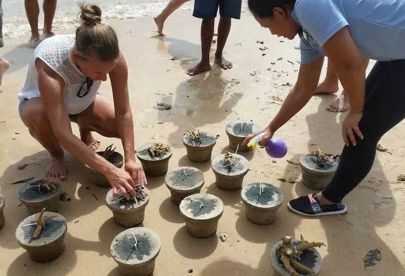 هتل Alunan Resort All Inclusive