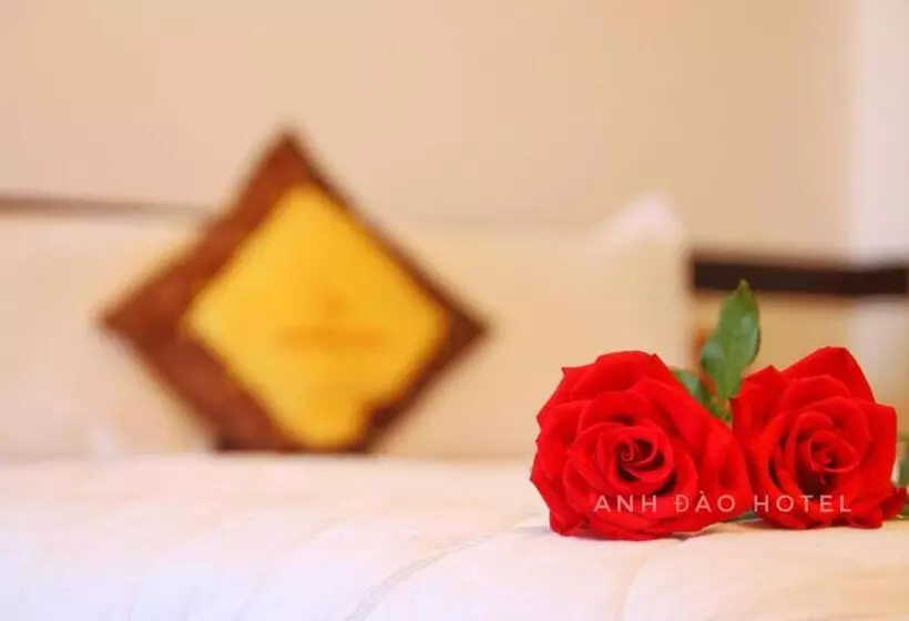 هتل Anh Dao Phu Quoc