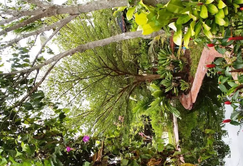 בית מלון כפרי Cowboy Farm Resort Pattaya