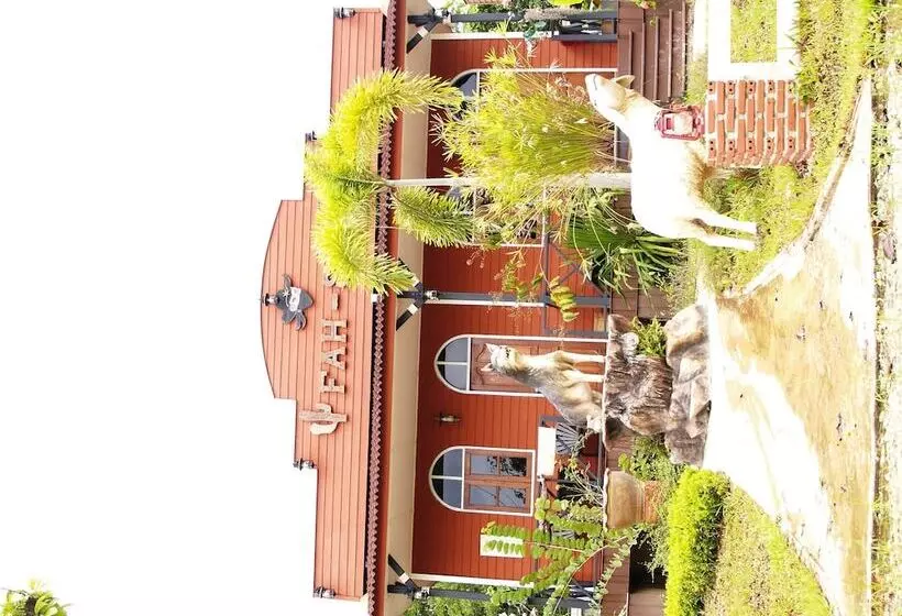 בית מלון כפרי Cowboy Farm Resort Pattaya