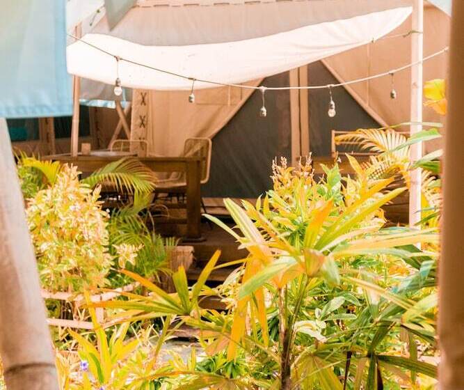 Hotel La Cocoteraie Ecolodge  Glamping