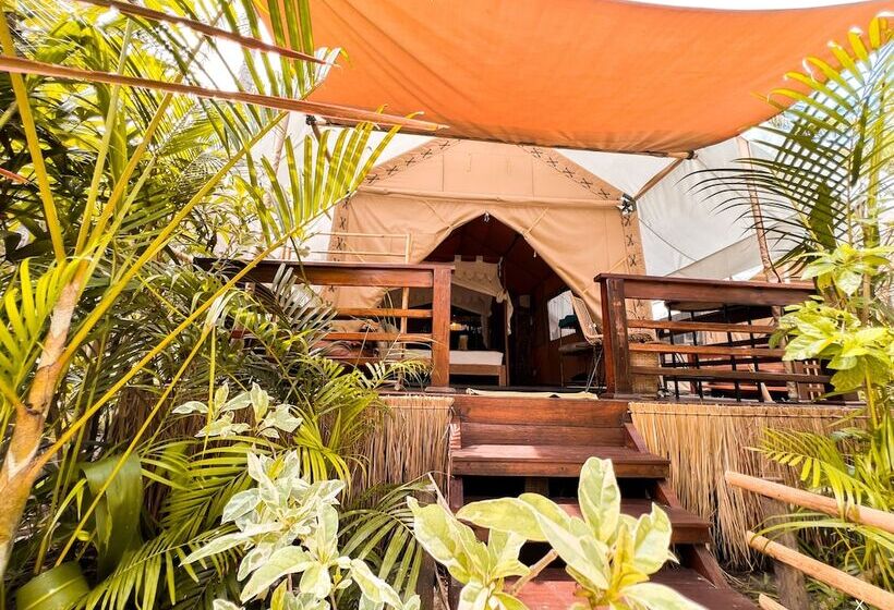 Hotel La Cocoteraie Ecolodge  Glamping