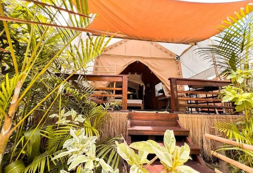 ホテル La Cocoteraie Ecolodge Glamping