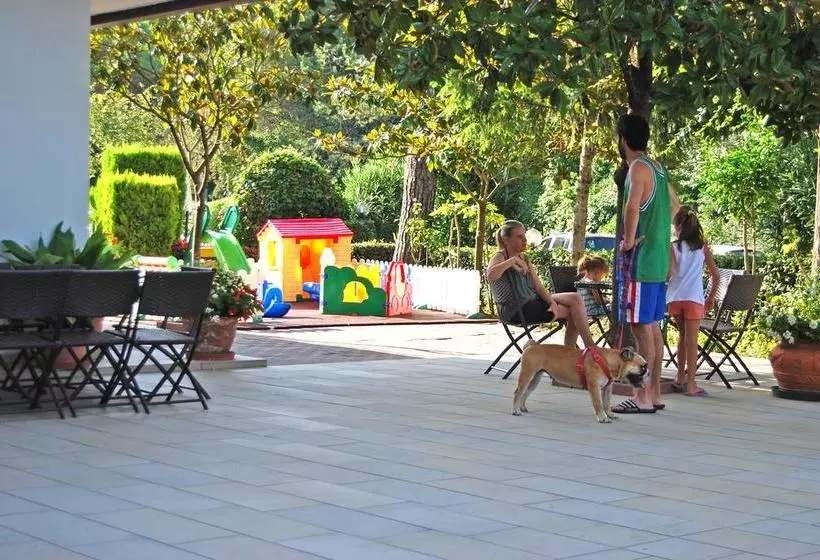 Отель Old River