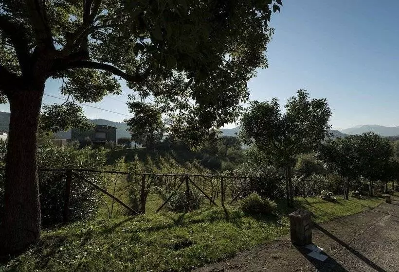 Отель Tenuta D'amore