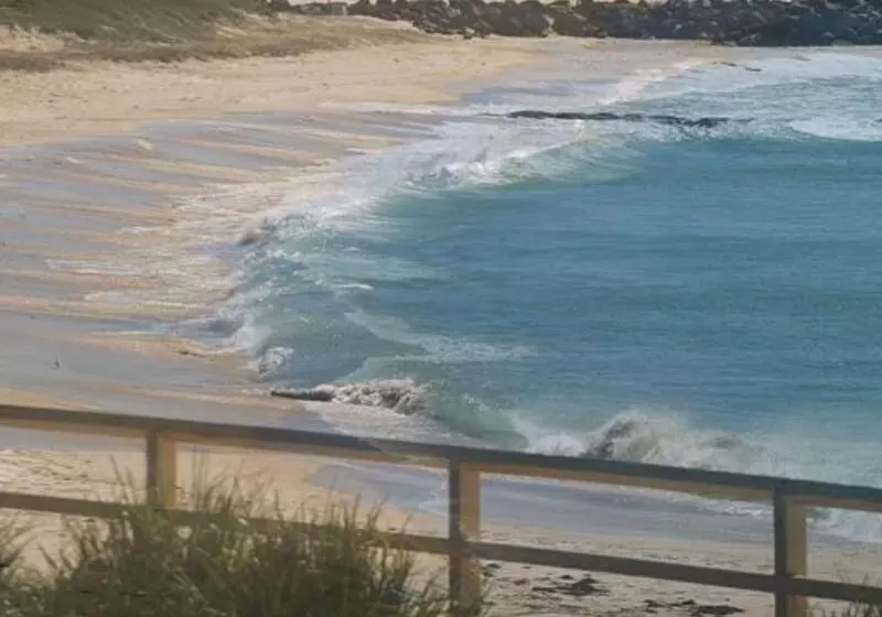 호텔 The Dorsal Boutique