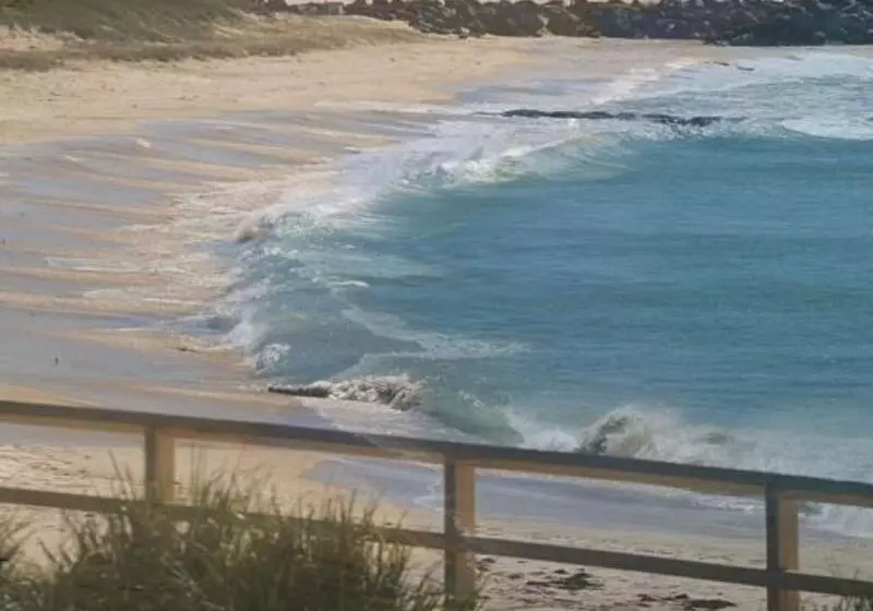 호텔 The Dorsal Boutique