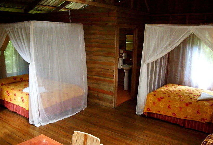 酒店 Wagelia Espino Blanco