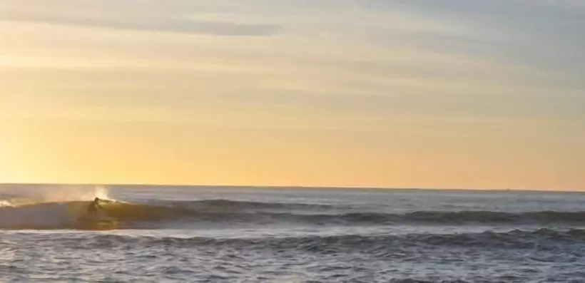 モーテル Villa Coolum