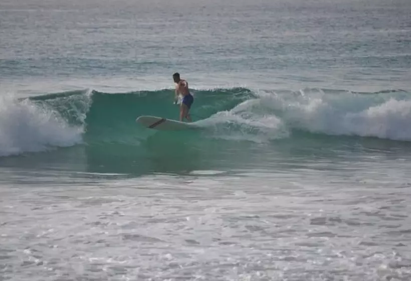 モーテル Villa Coolum