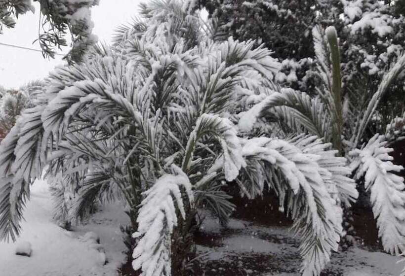 膳宿费 Dar Alfourssane Ferme D’hôte