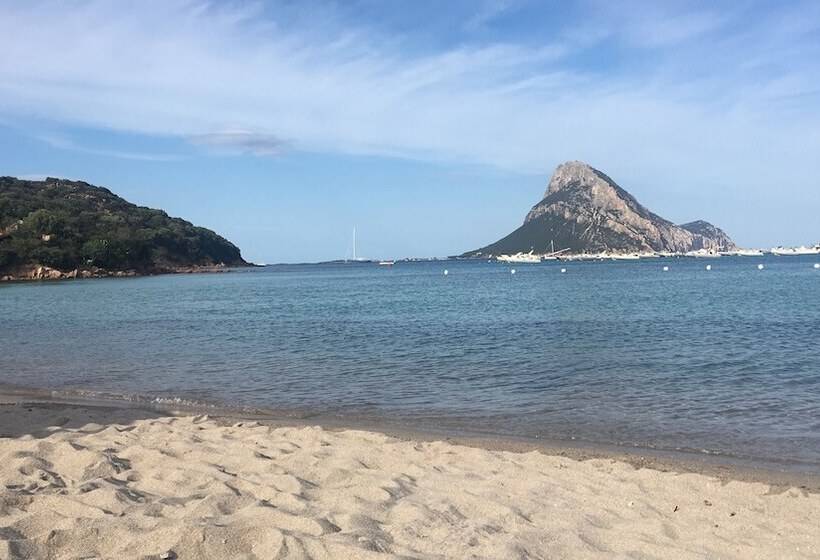 ベッドアンドブレックファースト La Casa Delle Fate