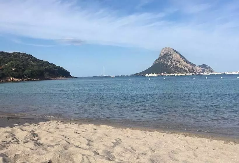 ベッドアンドブレックファースト La Casa Delle Fate