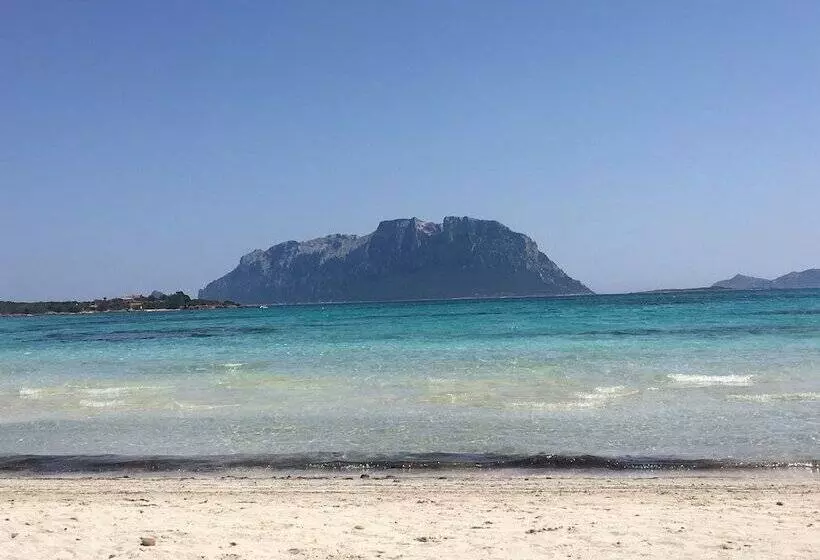 ベッドアンドブレックファースト La Casa Delle Fate