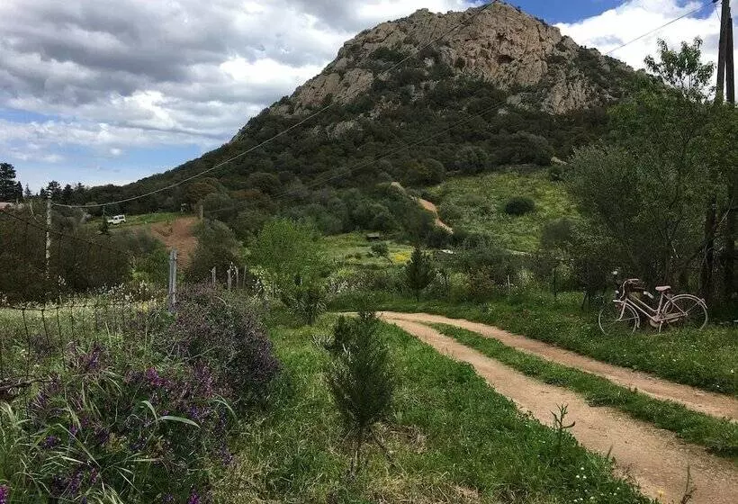 ベッドアンドブレックファースト La Casa Delle Fate