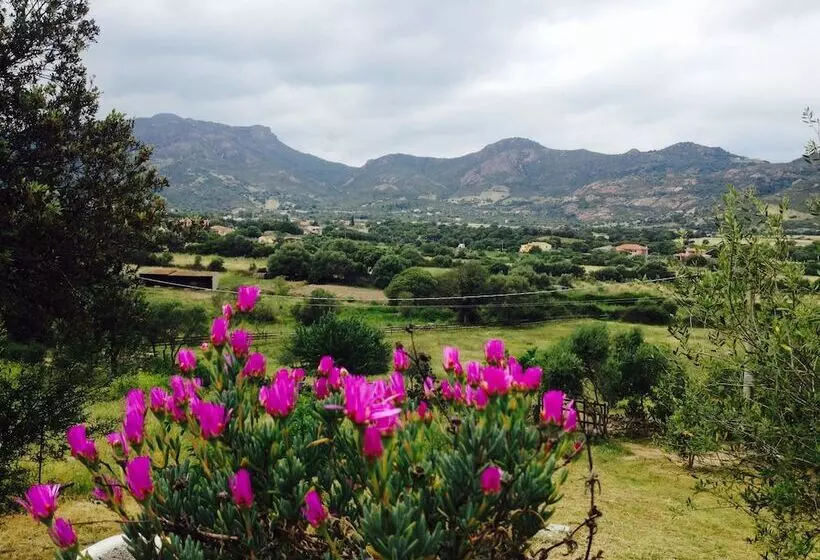 ベッドアンドブレックファースト La Casa Delle Fate