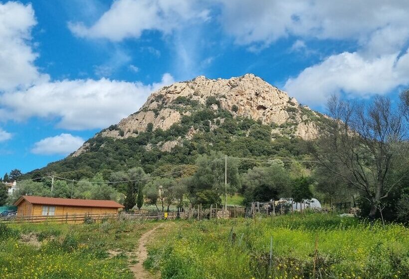 ベッドアンドブレックファースト La Casa Delle Fate