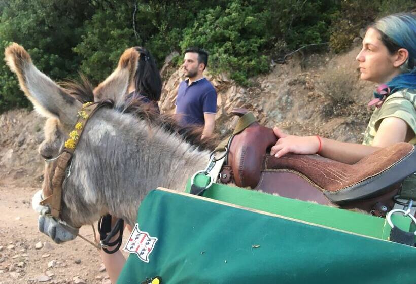 ベッドアンドブレックファースト La Casa Delle Fate