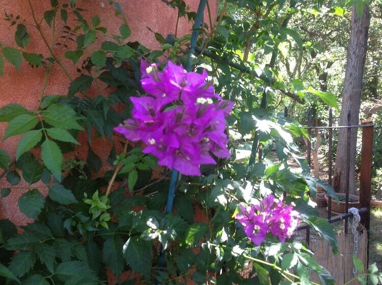 ベッドアンドブレックファースト La Casa Delle Fate