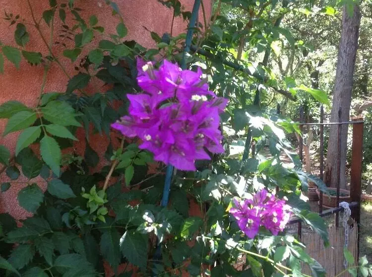 ベッドアンドブレックファースト La Casa Delle Fate