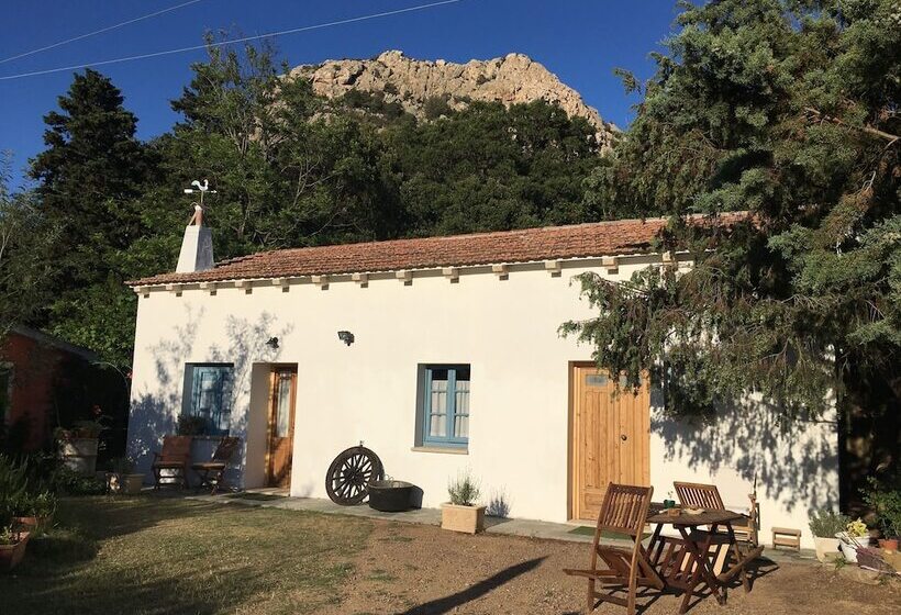 ベッドアンドブレックファースト La Casa Delle Fate