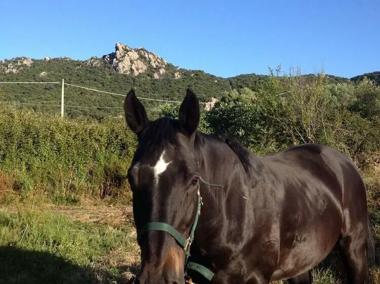 ベッドアンドブレックファースト La Casa Delle Fate