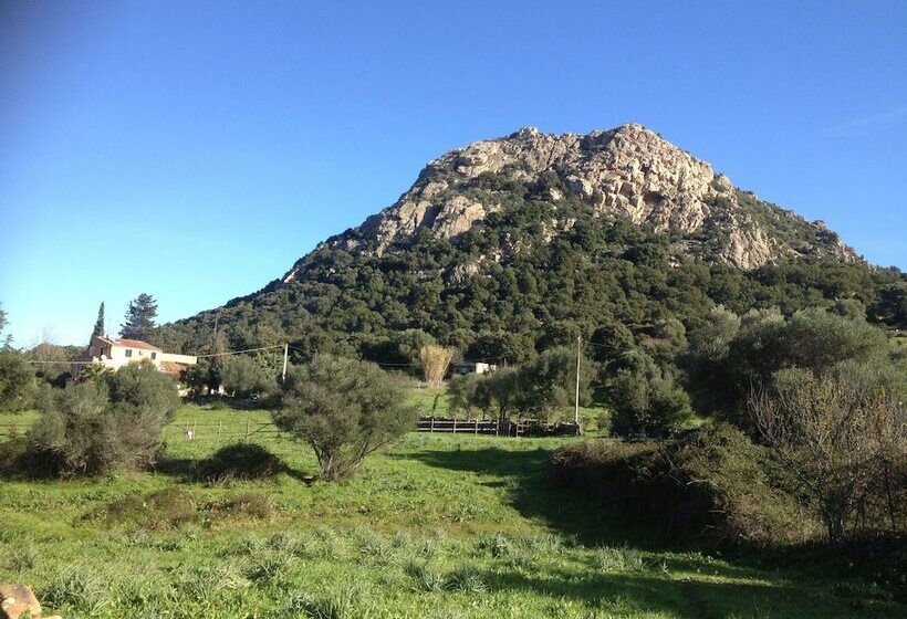 ベッドアンドブレックファースト La Casa Delle Fate