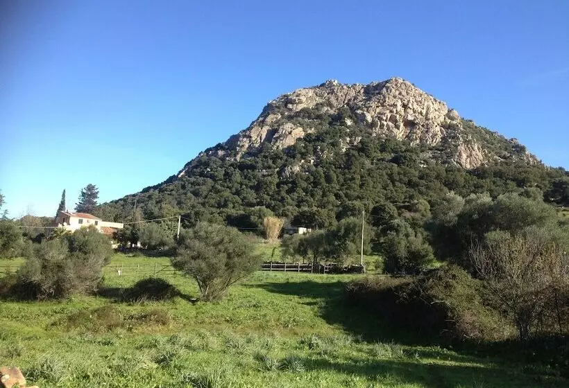 ベッドアンドブレックファースト La Casa Delle Fate