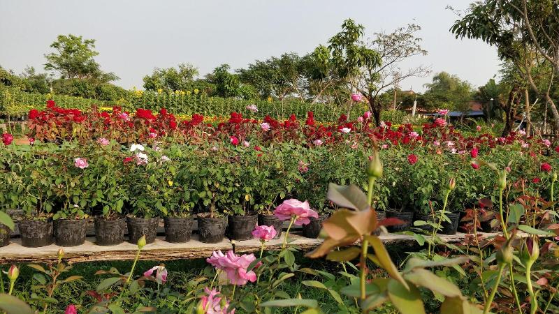 هتل Archaic House