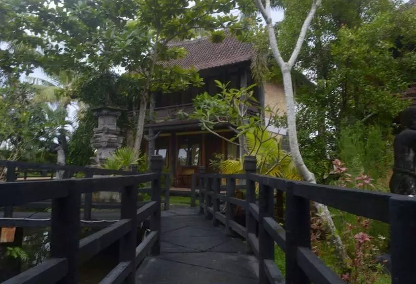 酒店 Kangkung Cottages